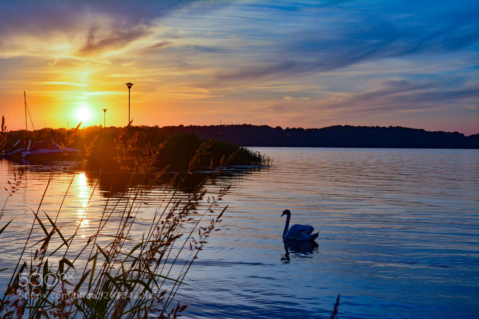 Nikon D5200 sample photo. Sun photography