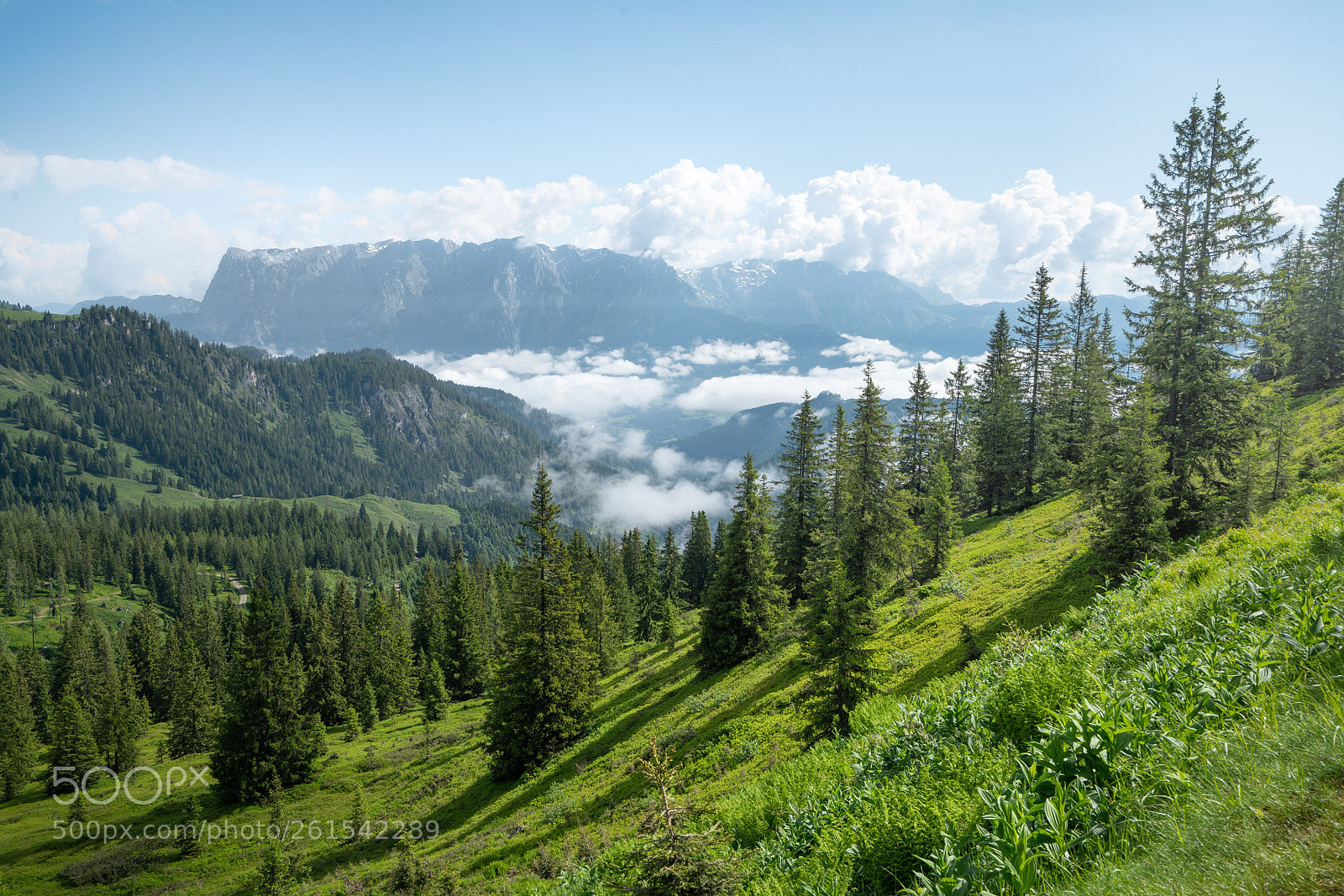 Sony a7R III sample photo. Untitled photography
