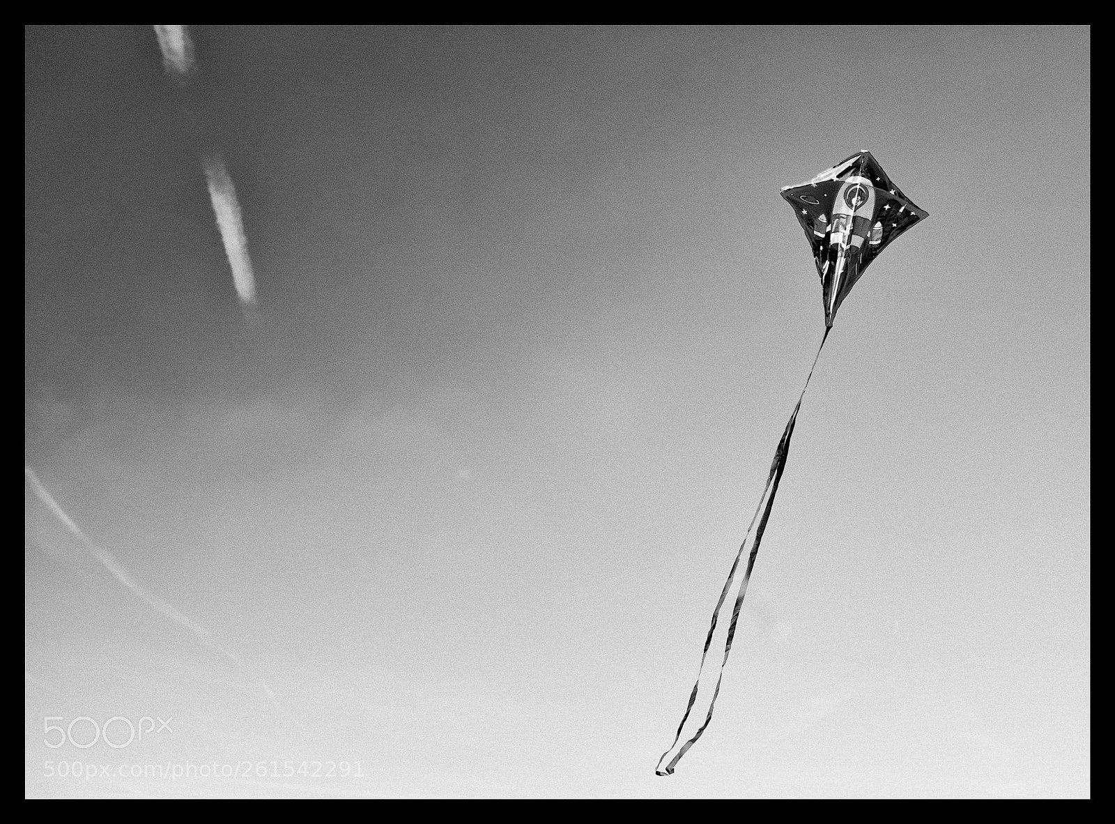 Canon EOS 6D sample photo. Flying high in the photography