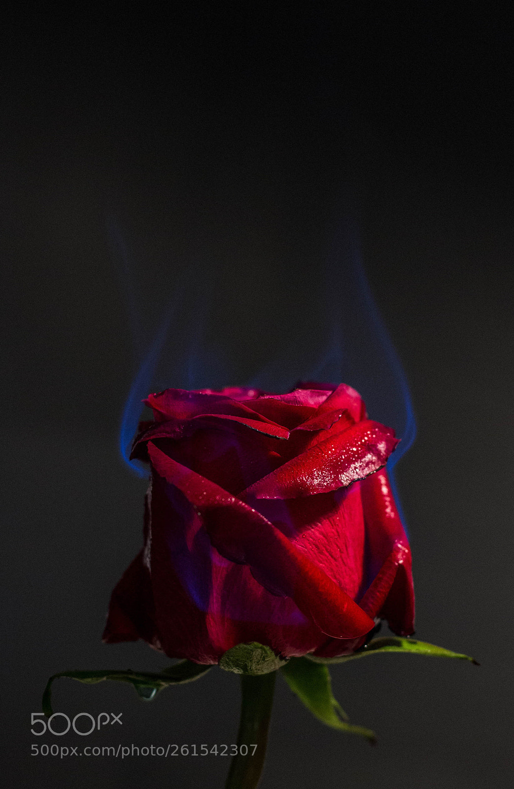 Canon EOS 700D (EOS Rebel T5i / EOS Kiss X7i) sample photo. Getting hot in here.. photography