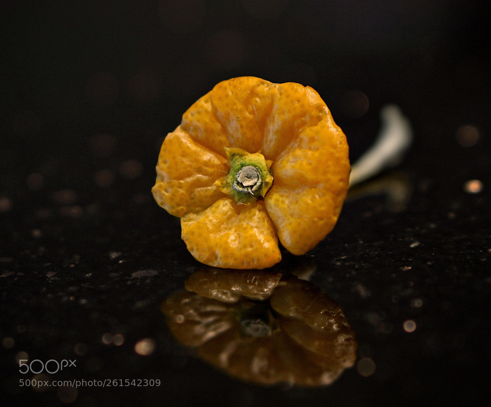 Sony a6000 sample photo. Orange peel "flower" photography