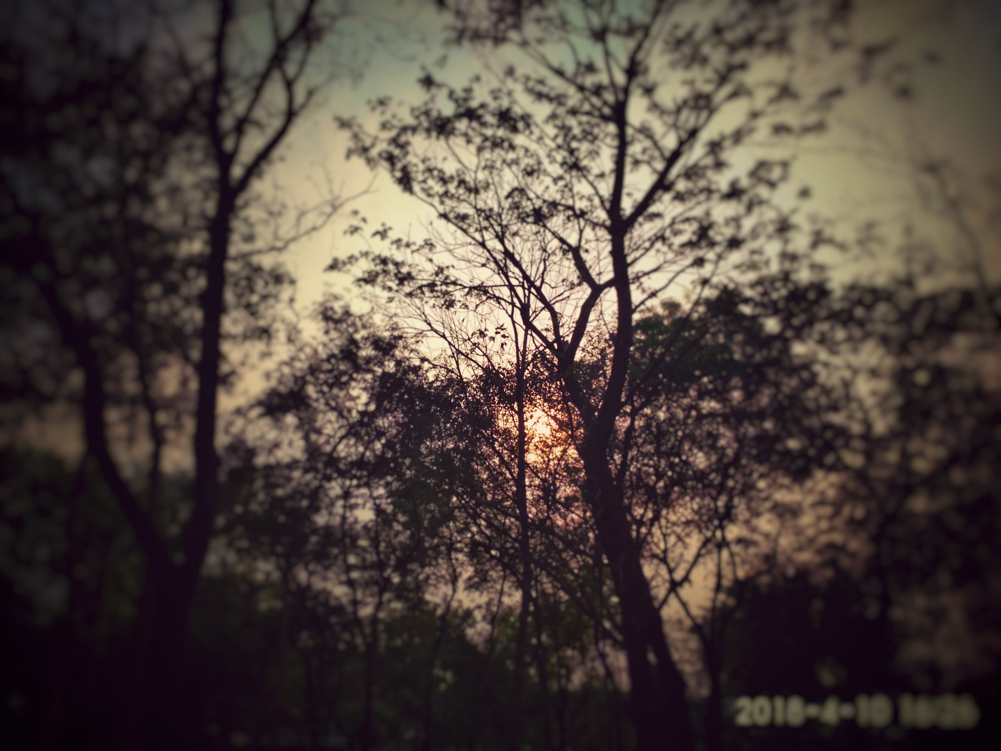 Xiaomi Redmi 4 Pro sample photo