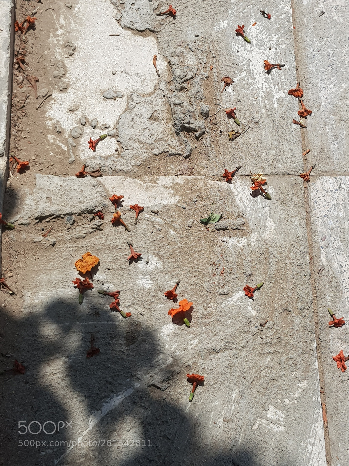 Samsung Galaxy S8 sample photo. Untitled photography