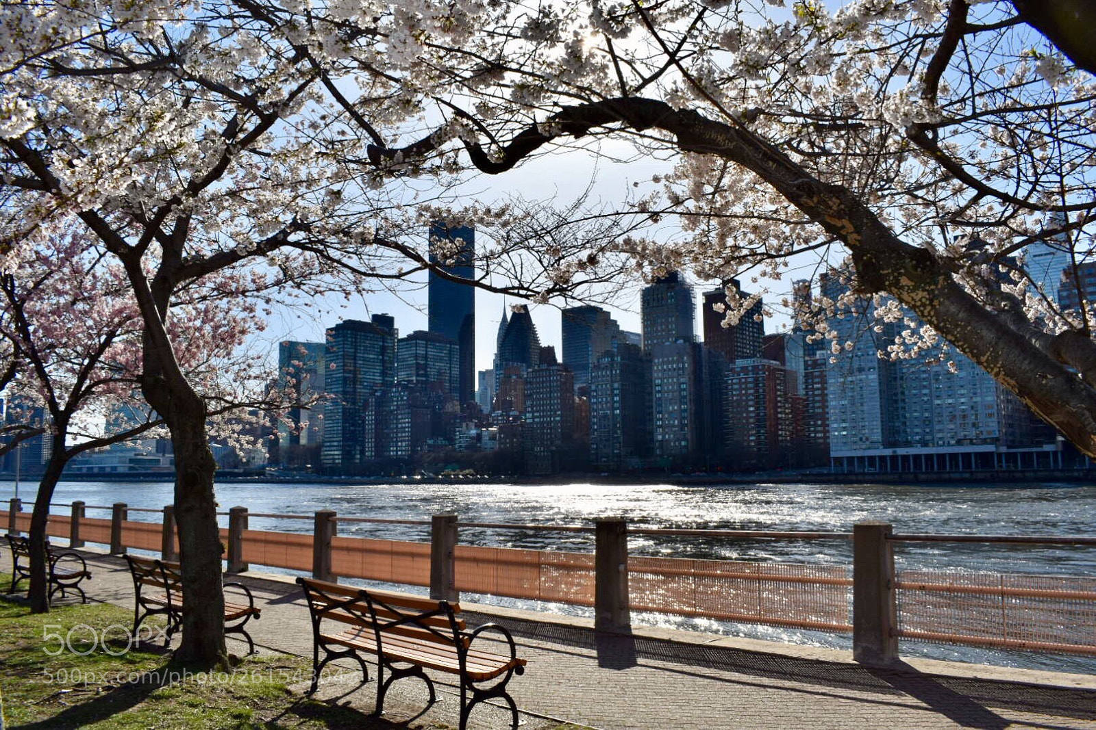 Nikon D5300 sample photo. Ny romance photography