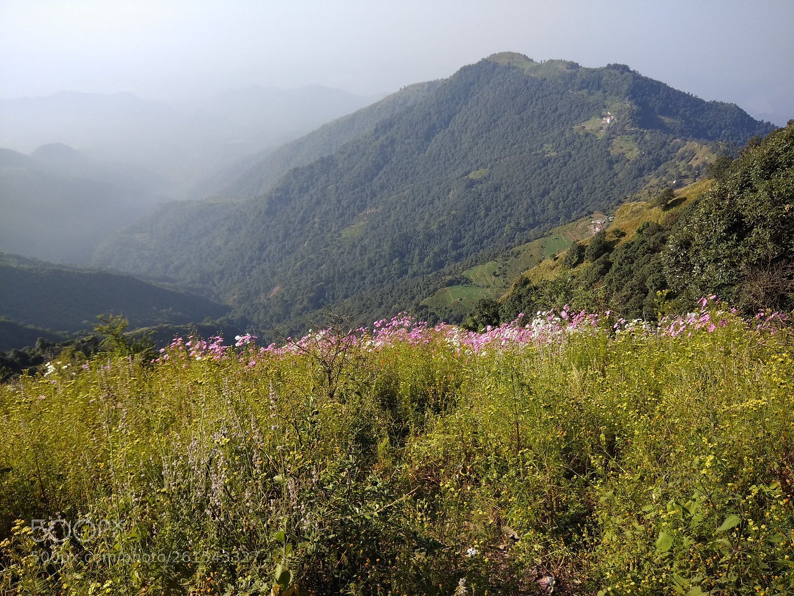 Xiaomi Redmi Note 4 sample photo. Img_20171011_083536.jpg photography