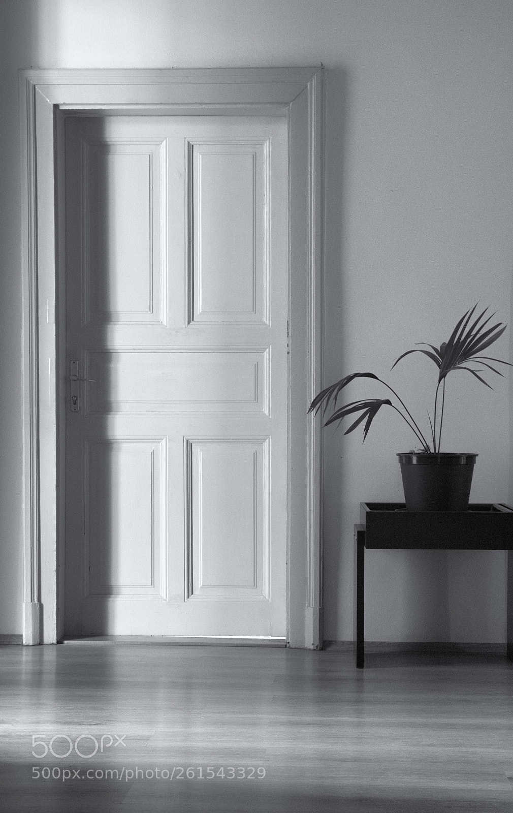 Nikon D850 sample photo. Abstract door photography