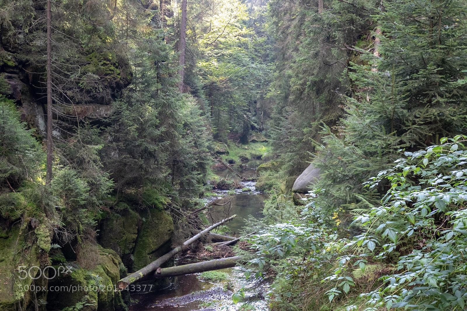Fujifilm X-T1 sample photo. Landscape photography