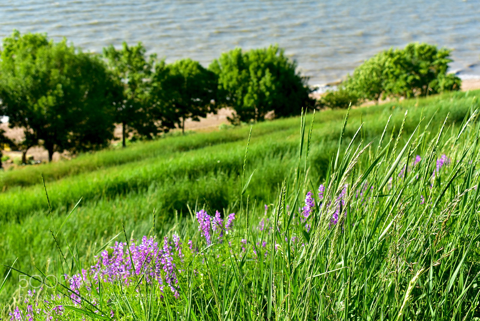 Nikon D5600 sample photo. Солнечный денек photography