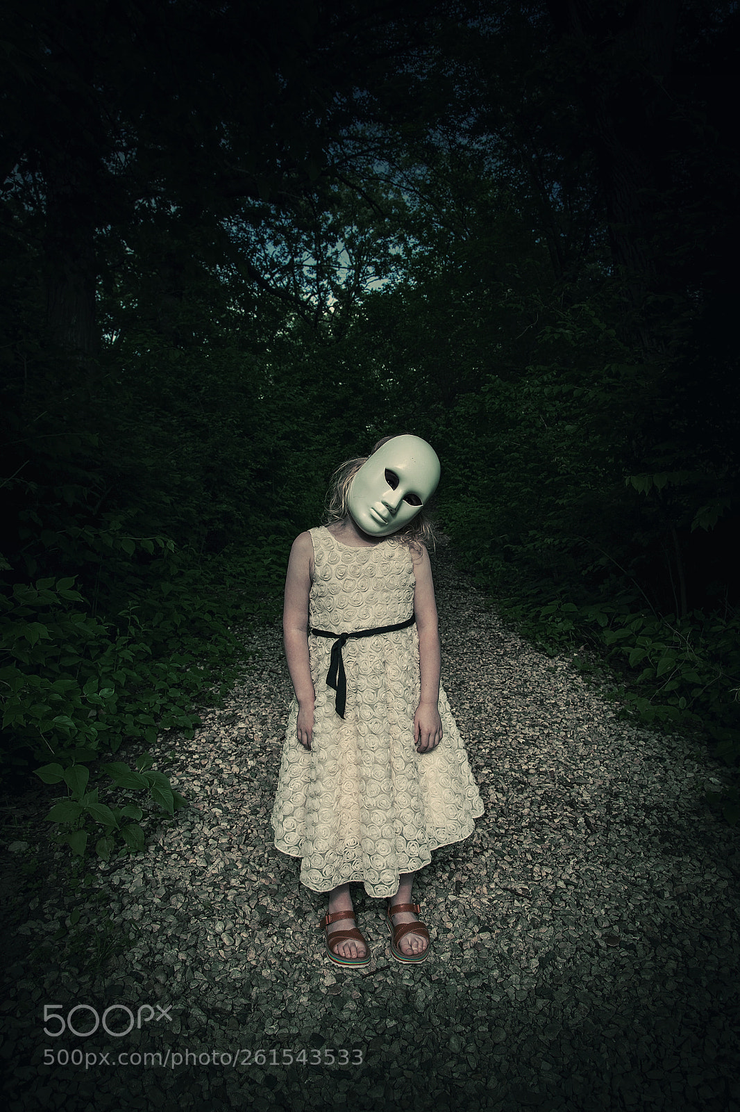 Canon EOS 6D sample photo. Spirit in the woods photography