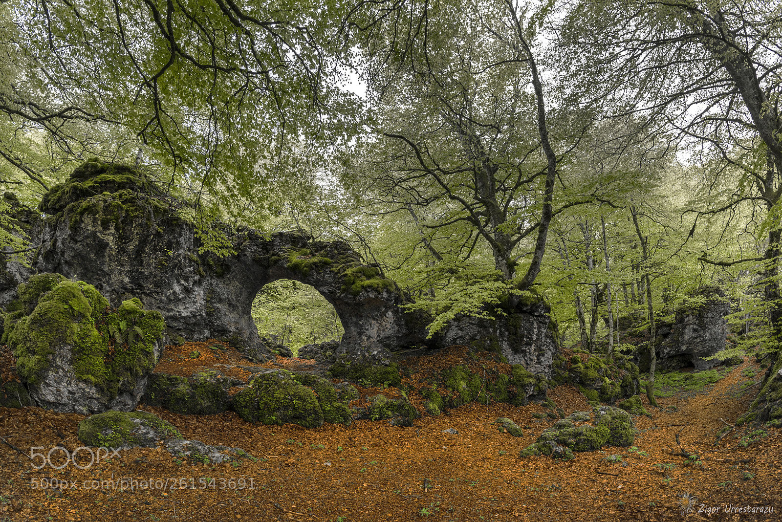 Nikon D810 sample photo. In the labyrinth of photography
