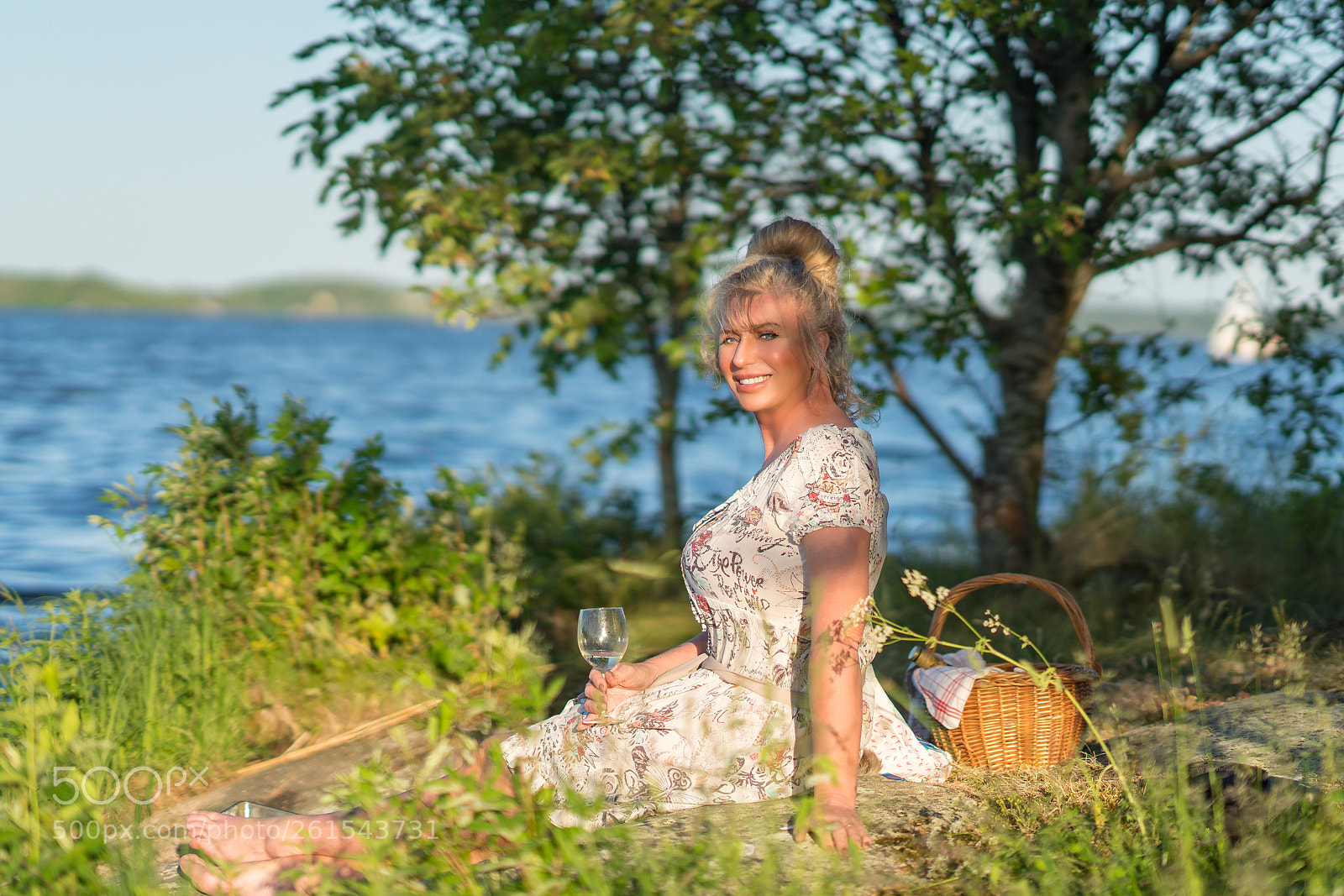 Sony a7R III sample photo. Picnic ii photography