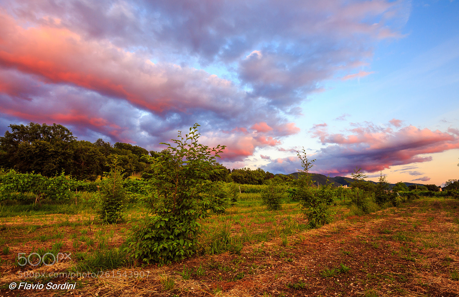 Canon EOS 6D sample photo. Sunset photography