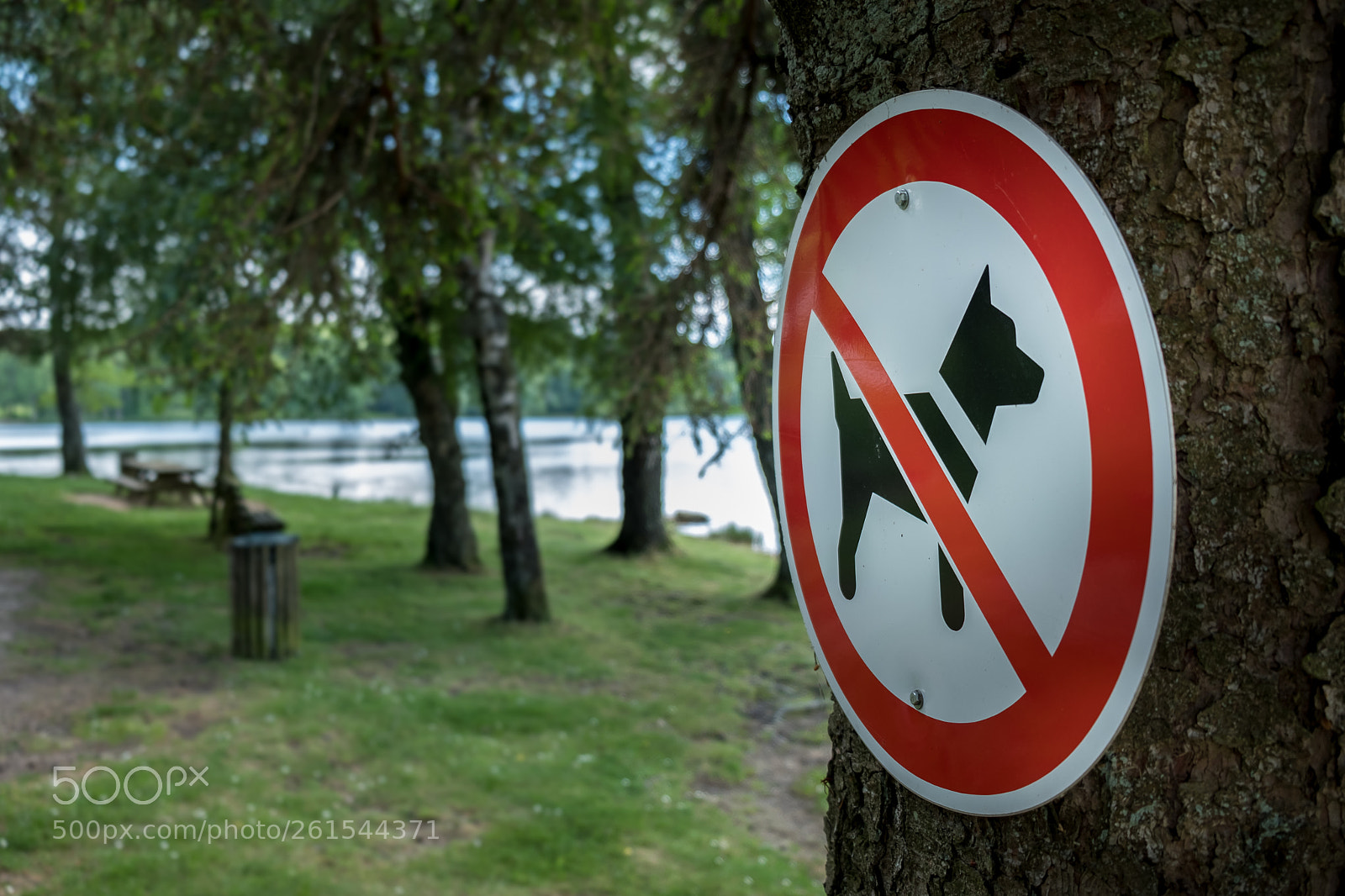 Fujifilm X-T2 sample photo. No dogs! photography