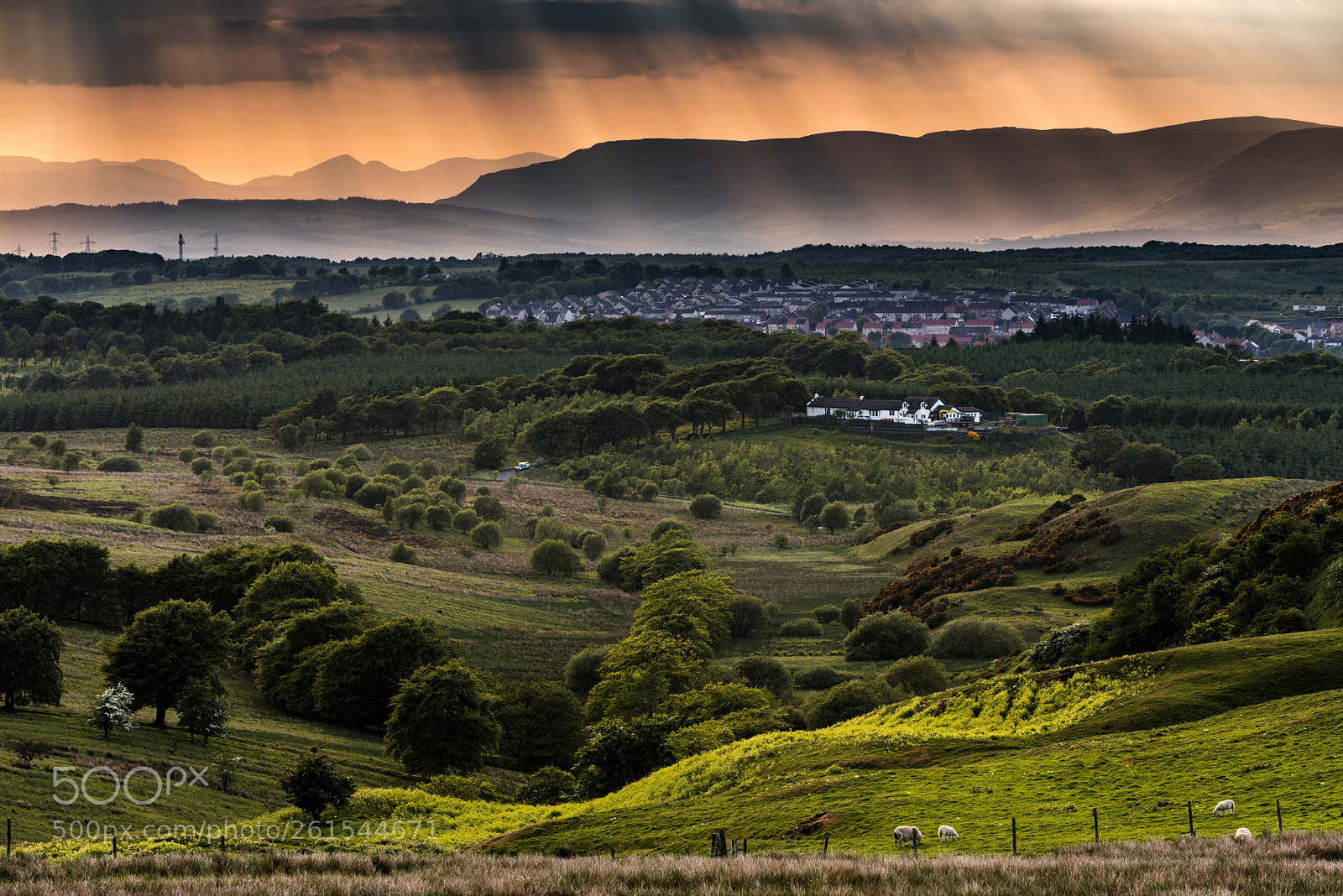 Nikon D750 sample photo. Sunset photography