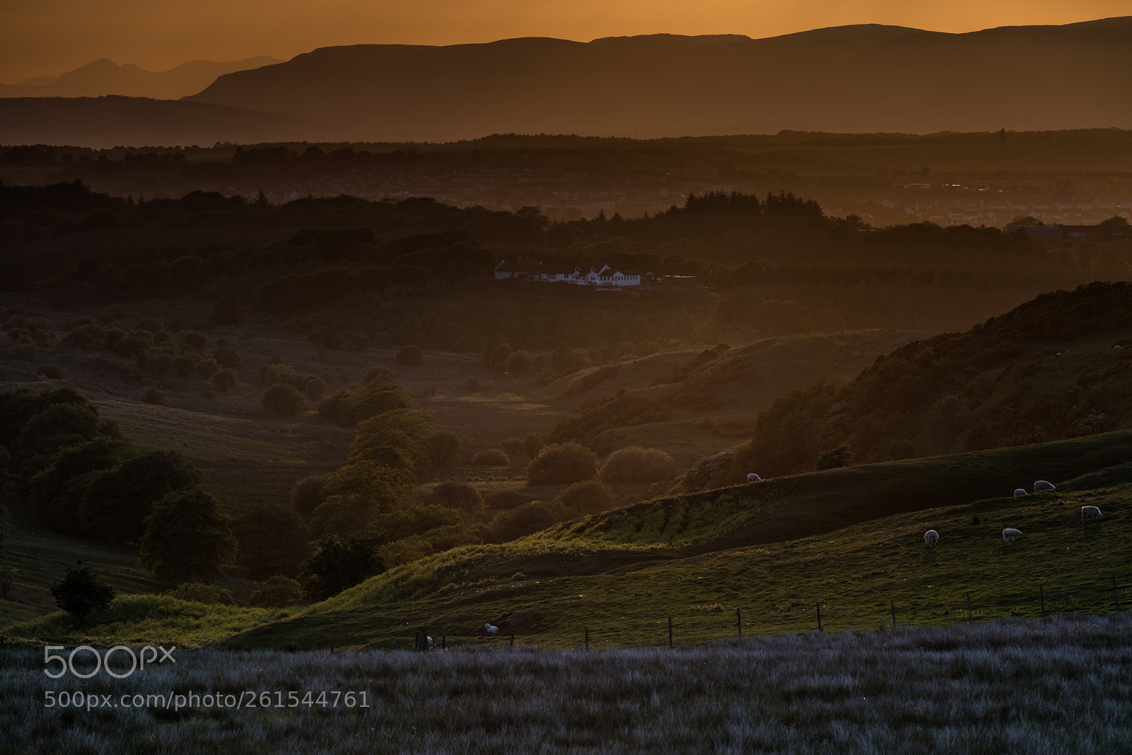 Nikon D750 sample photo. Sunset photography