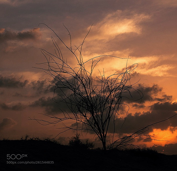 Canon EOS 650D (EOS Rebel T4i / EOS Kiss X6i) sample photo. Sunrise in the desert photography