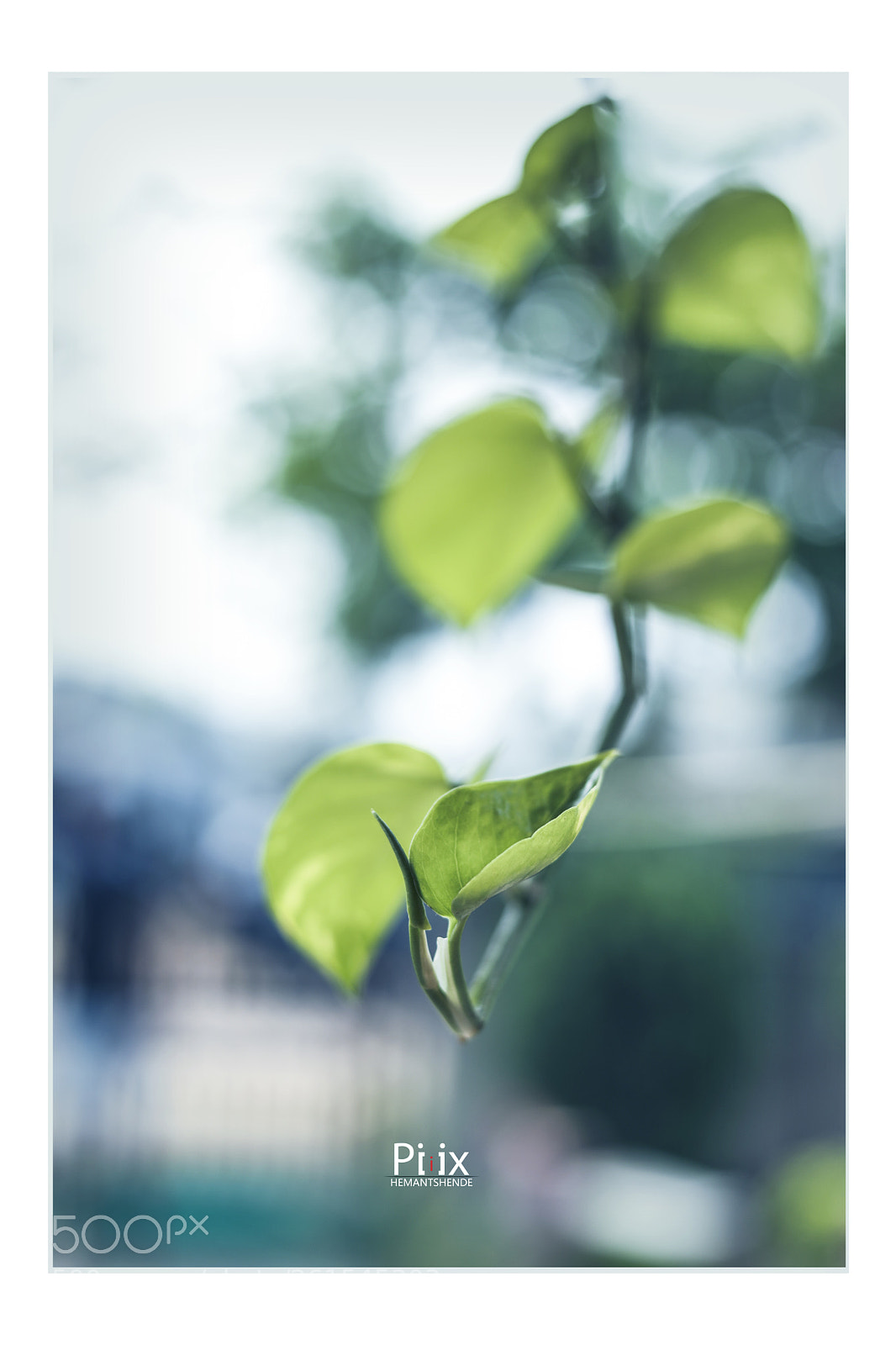 Canon EOS 5D Mark IV sample photo. Untitled photography