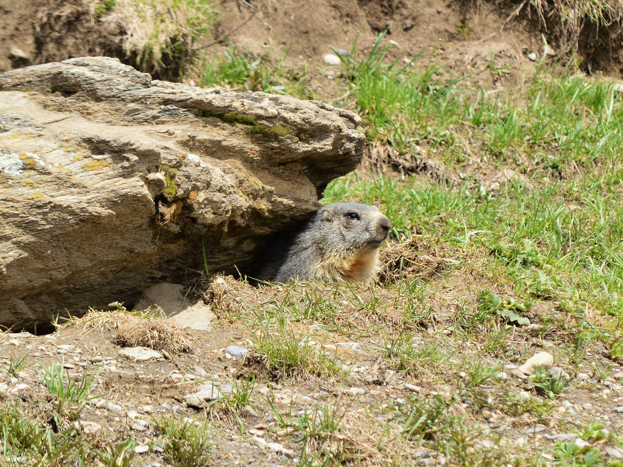 Nikon D3200 sample photo