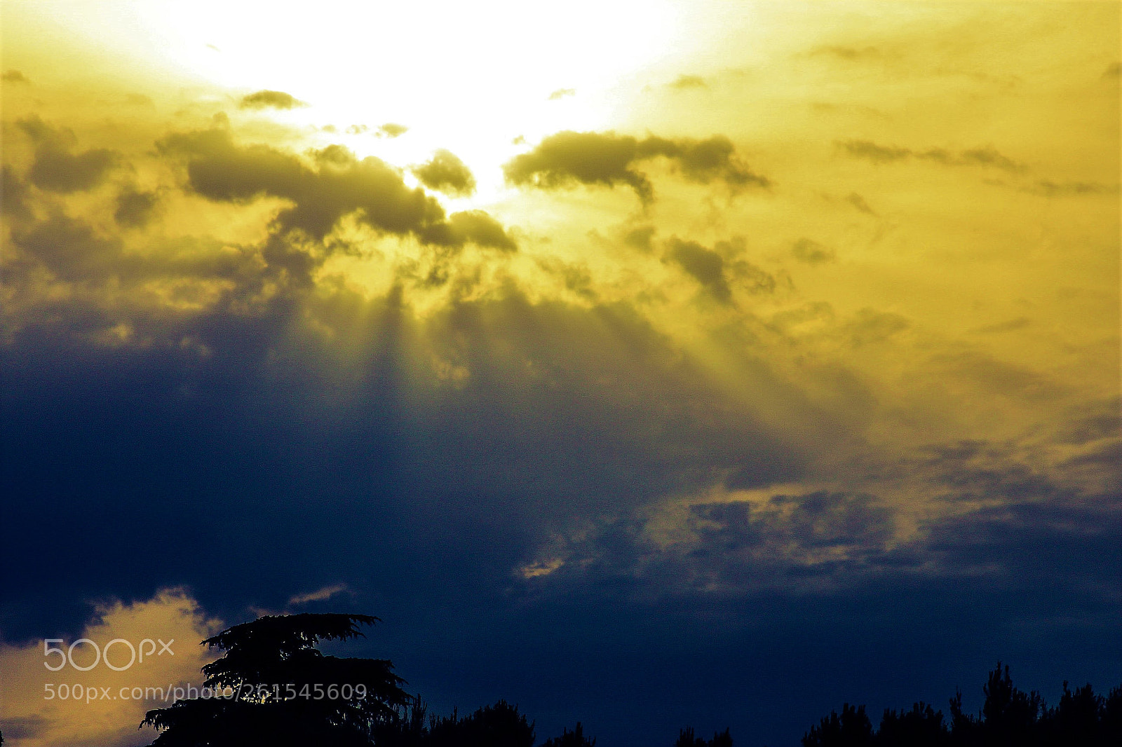 Canon EOS 600D (Rebel EOS T3i / EOS Kiss X5) sample photo. Edited photography