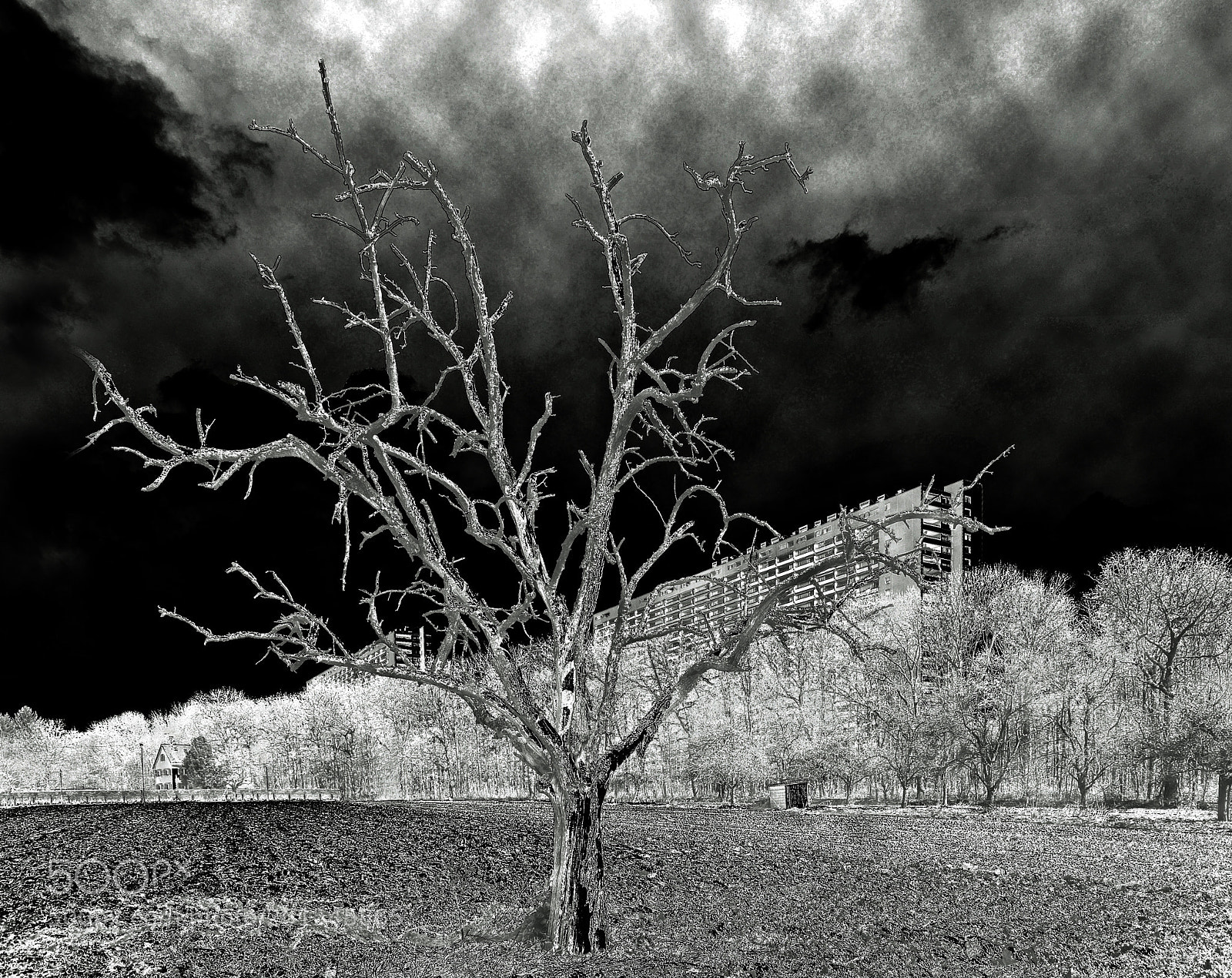 Nikon D700 sample photo. "the x ray accident" photography
