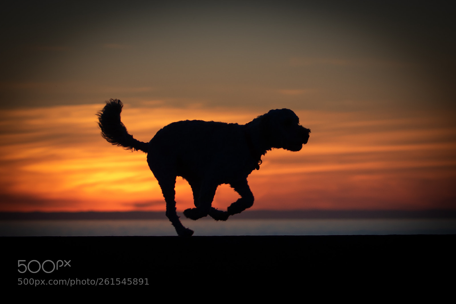 Canon EOS 7D Mark II sample photo. Sunset run. photography
