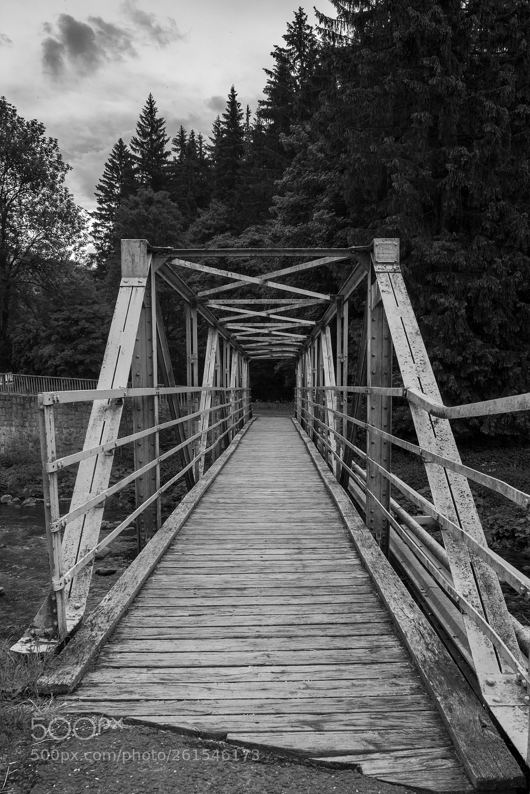 Nikon D750 sample photo. Bridge photography