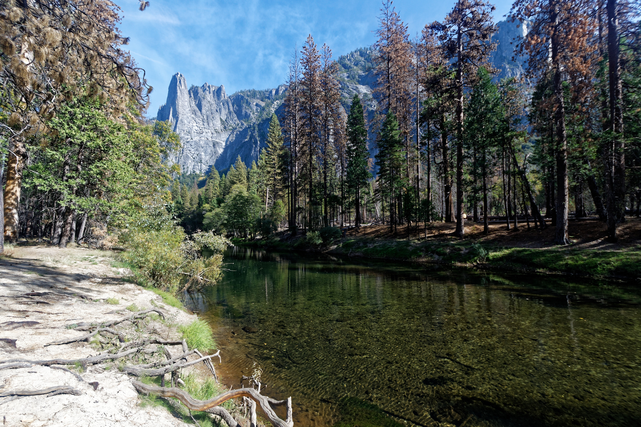 Nikon D500 sample photo. Yosemite photography