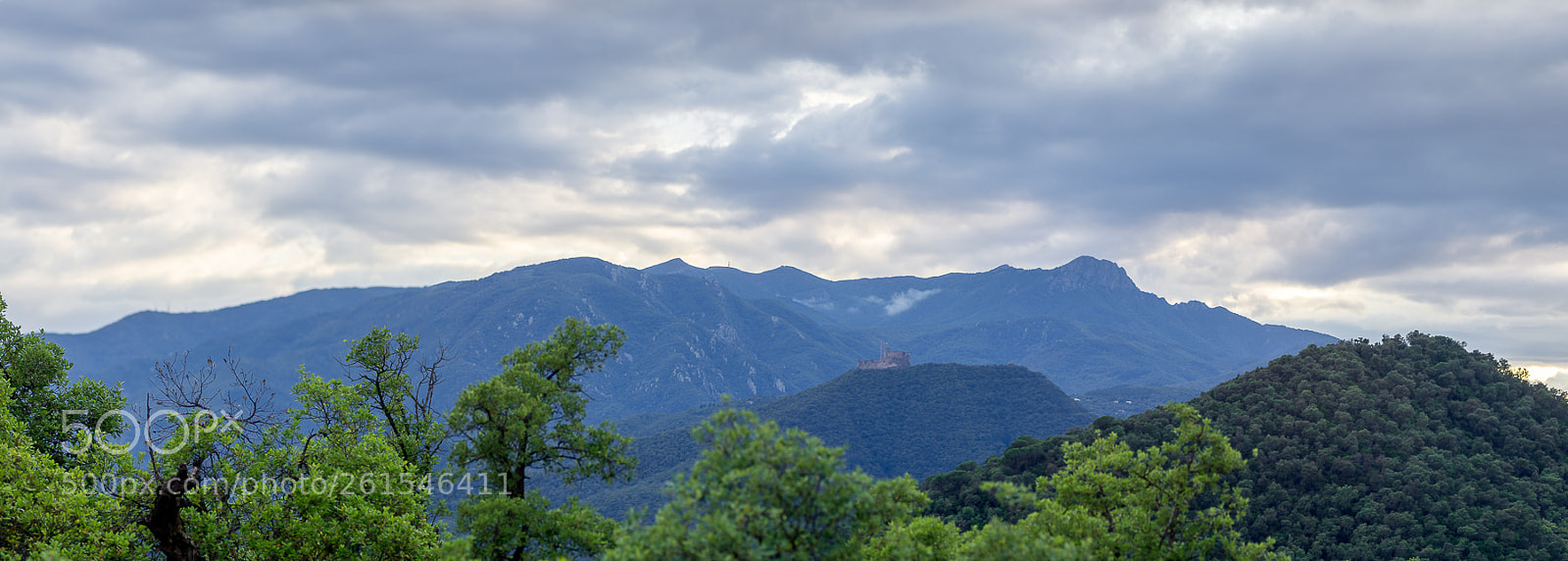 Pentax K-5 sample photo. Untitled photography