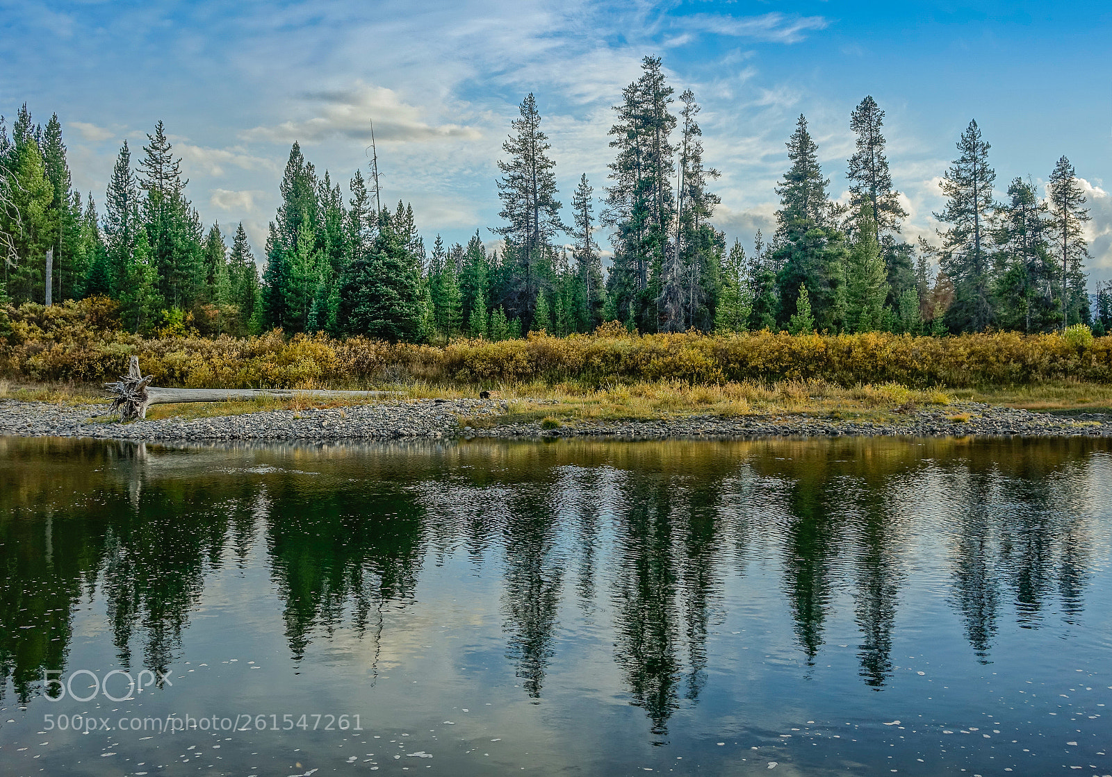Sony Cyber-shot DSC-RX10 sample photo. Grand teton national park photography