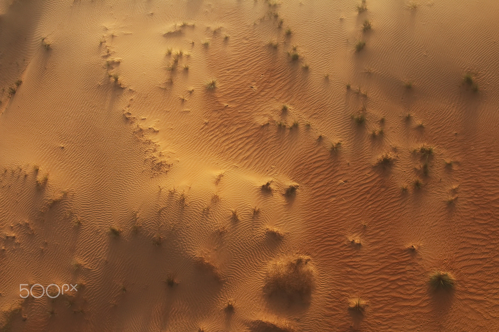 Canon EOS 70D sample photo. Over the desert photography