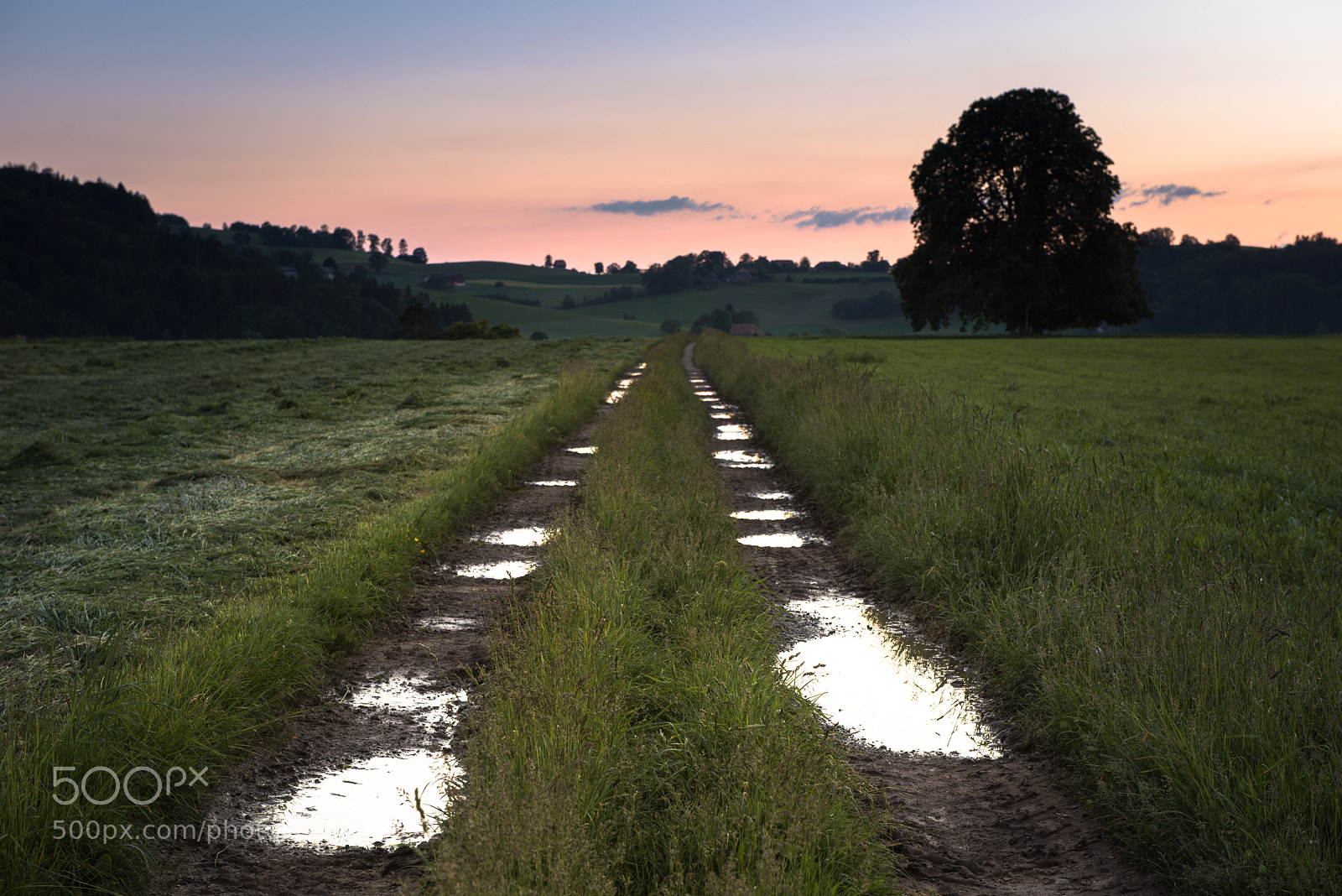 Nikon D810 sample photo. After the rain photography