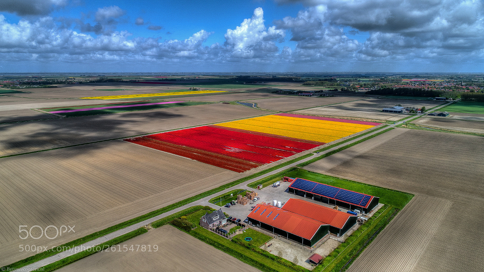 DJI FC6310 sample photo. Bulbfields photography