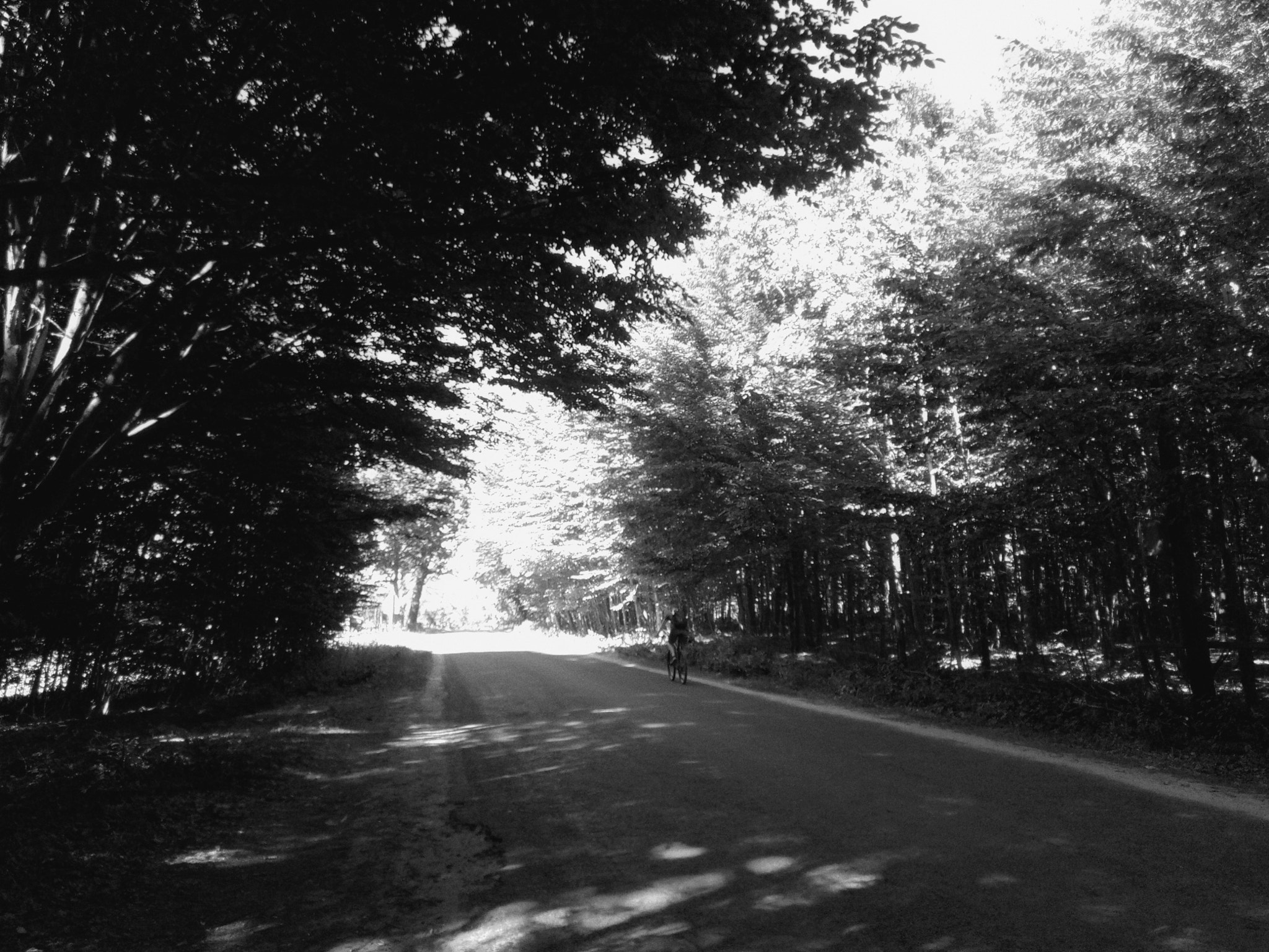 Meizu U20 sample photo