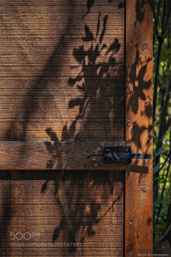 Fujifilm X-T2 sample photo. Summer manifests photography