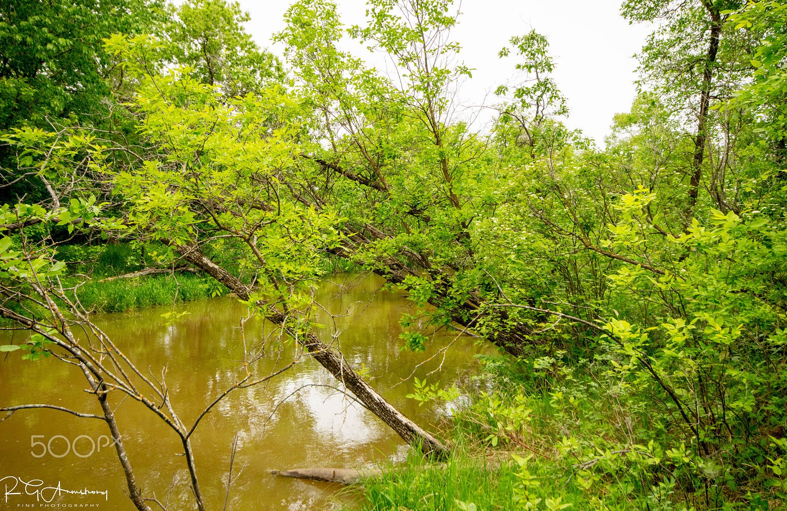 Pentax K-3 II sample photo. June 18 on the seine photography