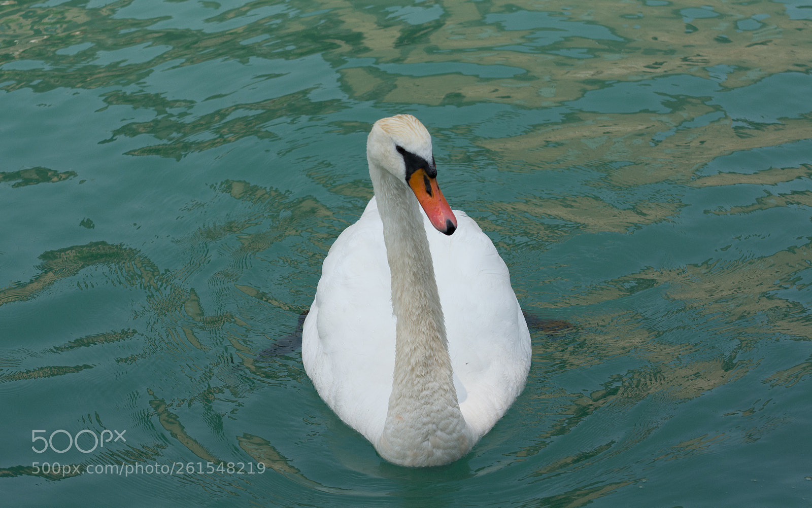 Nikon D5200 sample photo. 2018_06_italy_sirmione_03 photography