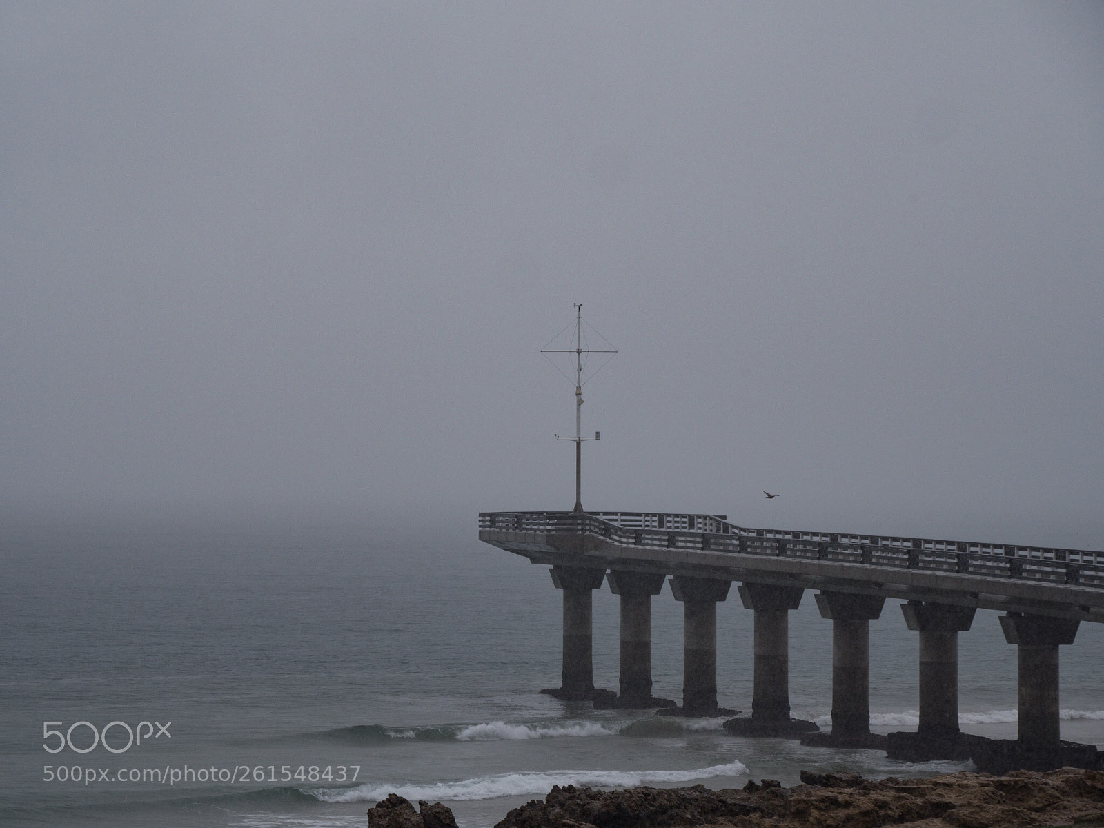 Panasonic Lumix DMC-GX8 sample photo. Port elizabeth - south photography