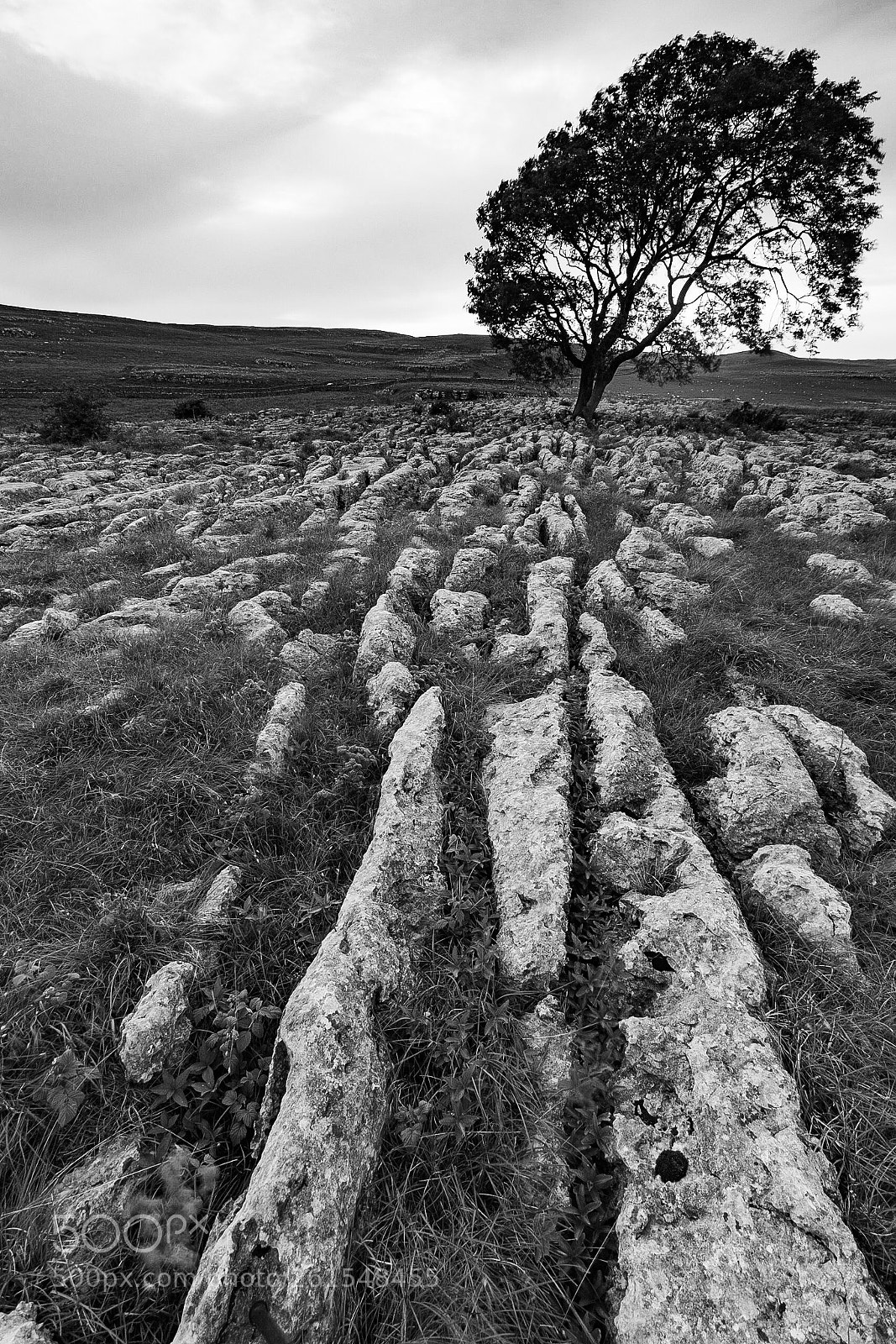 Canon EOS 5D Mark II sample photo. Malham cove mono  photography