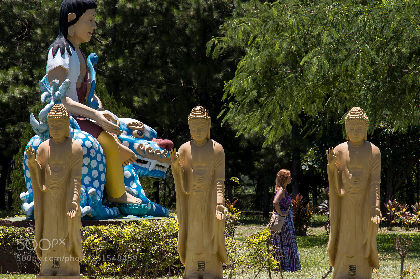 Canon EOS 70D sample photo. Buddhas photography