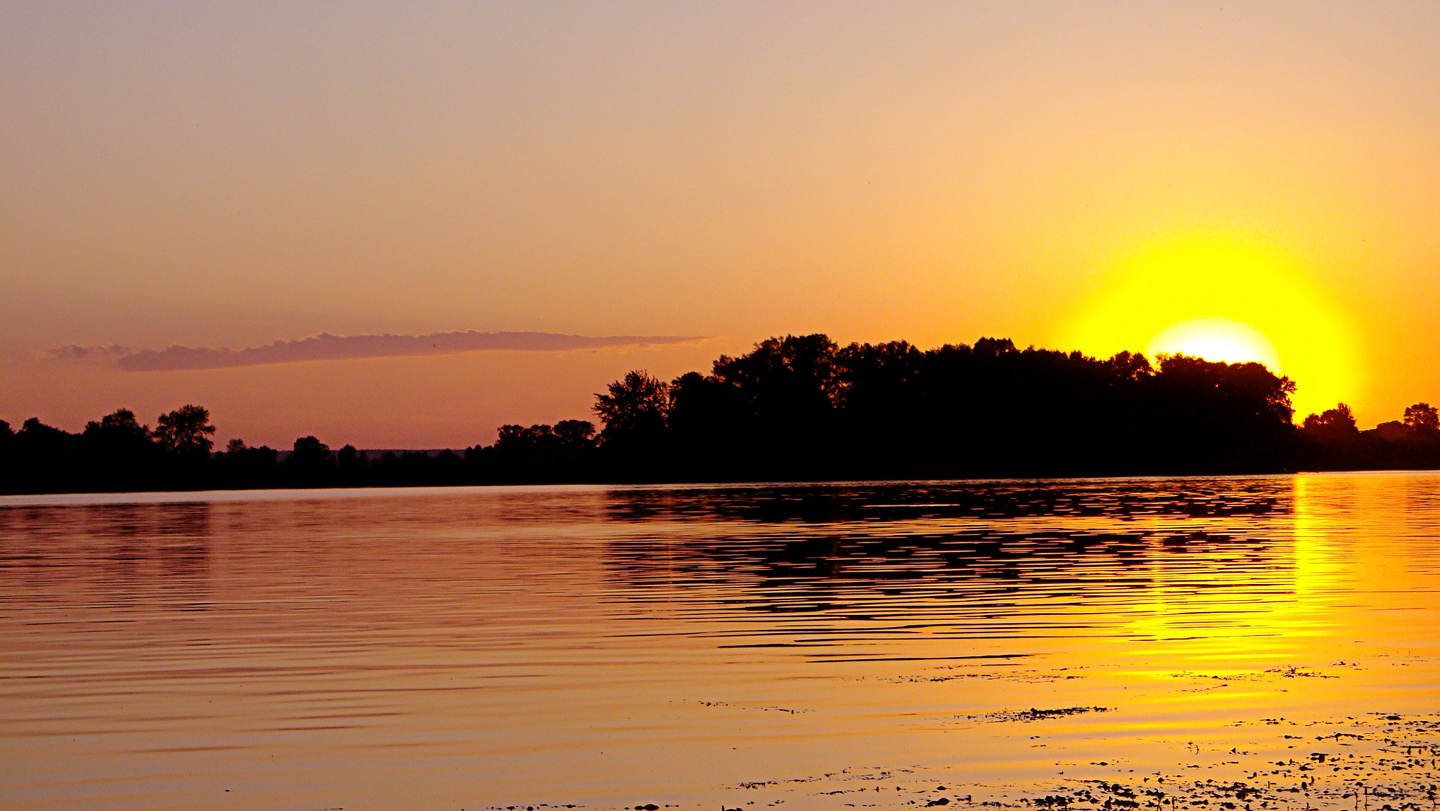 Fujifilm FinePix AX500 sample photo. Desna river photography