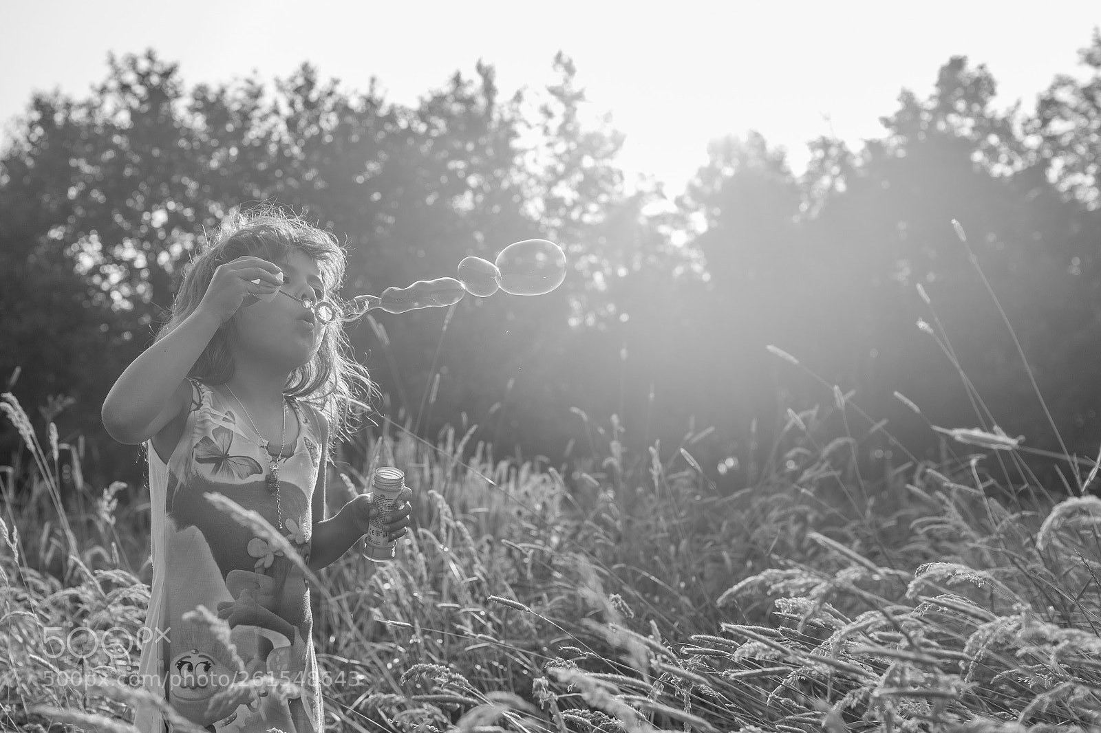 Canon EOS 6D Mark II sample photo. Untitled photography