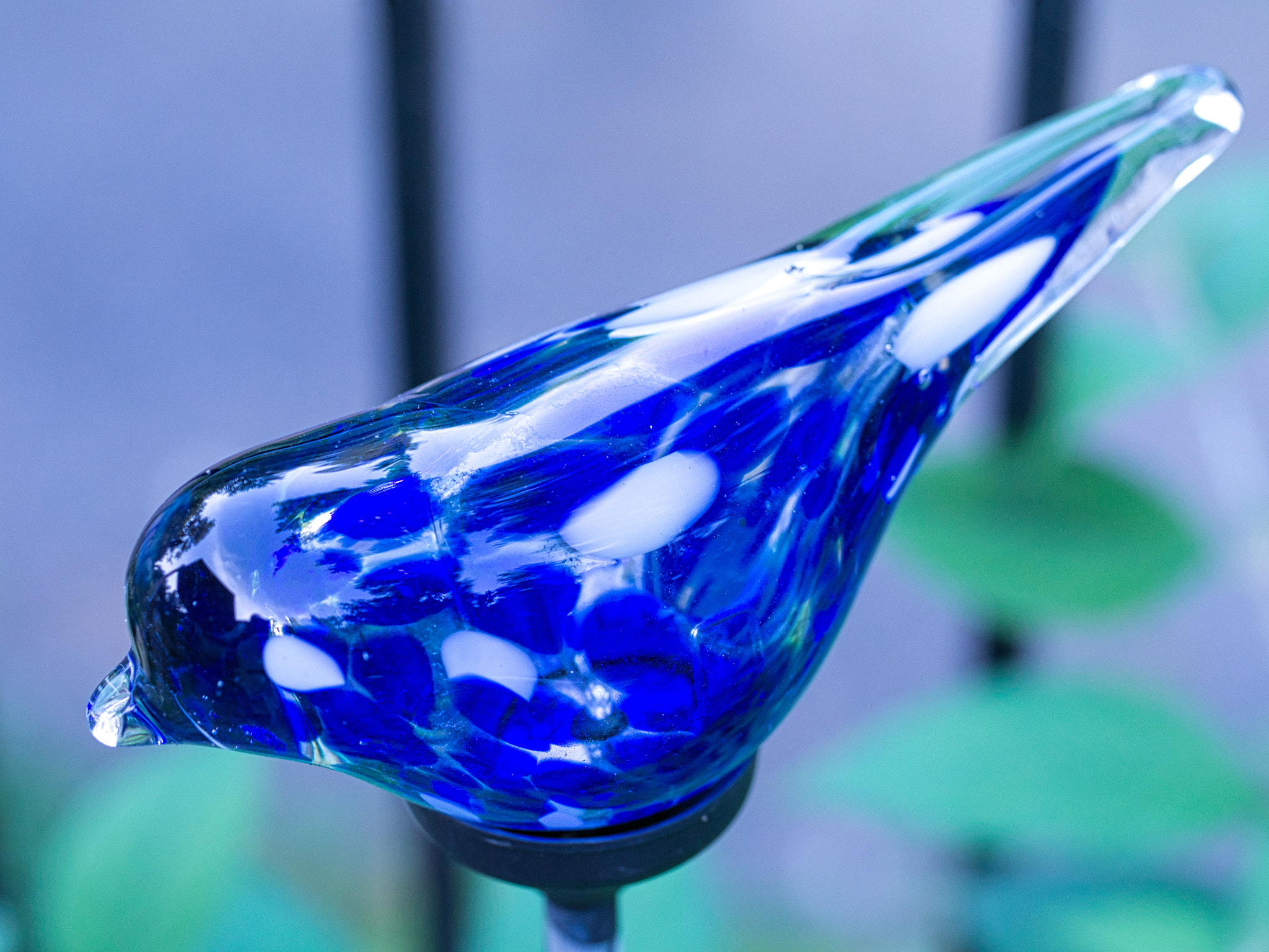 Olympus OM-D E-M5 sample photo. Solar bird light photography