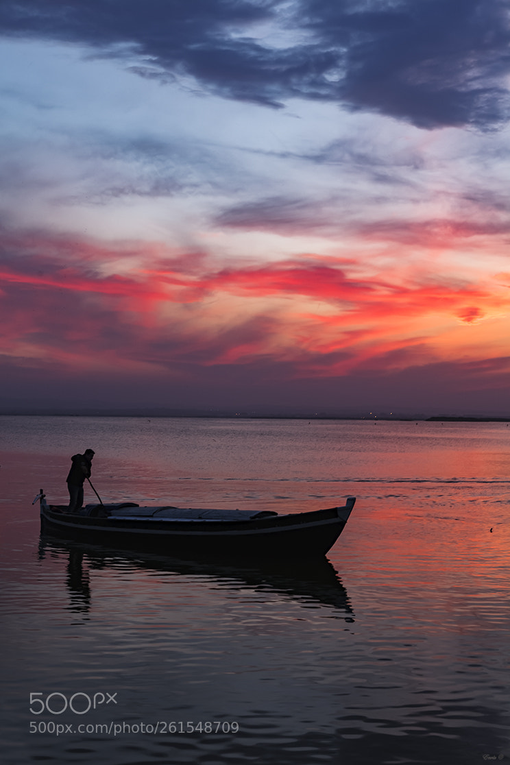 Canon EOS 5D Mark II sample photo. Albufera photography