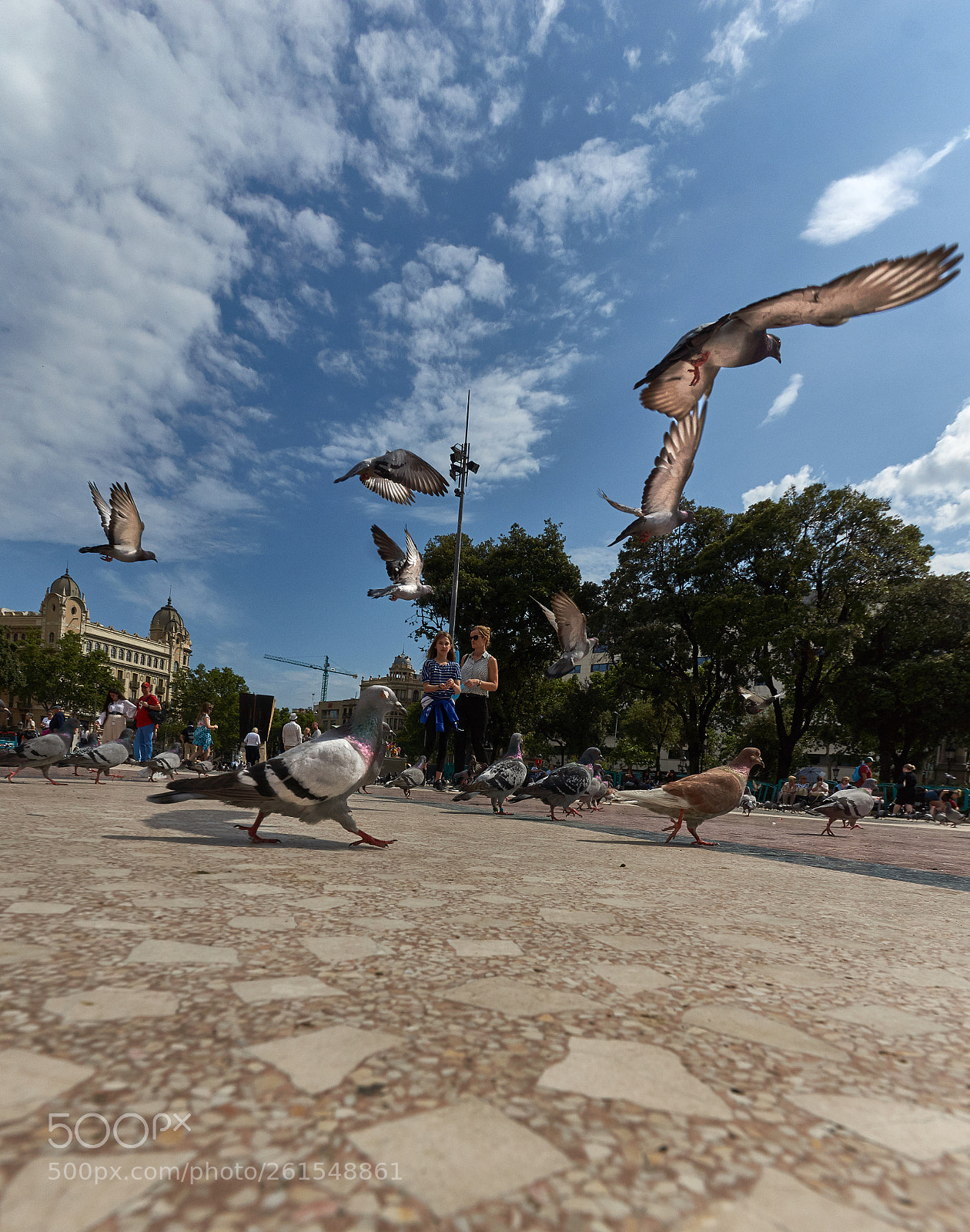 Sony SLT-A77 sample photo. Hurry up! photography