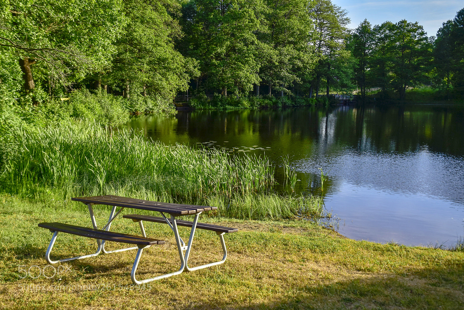 Nikon D5500 sample photo. Badplats photography
