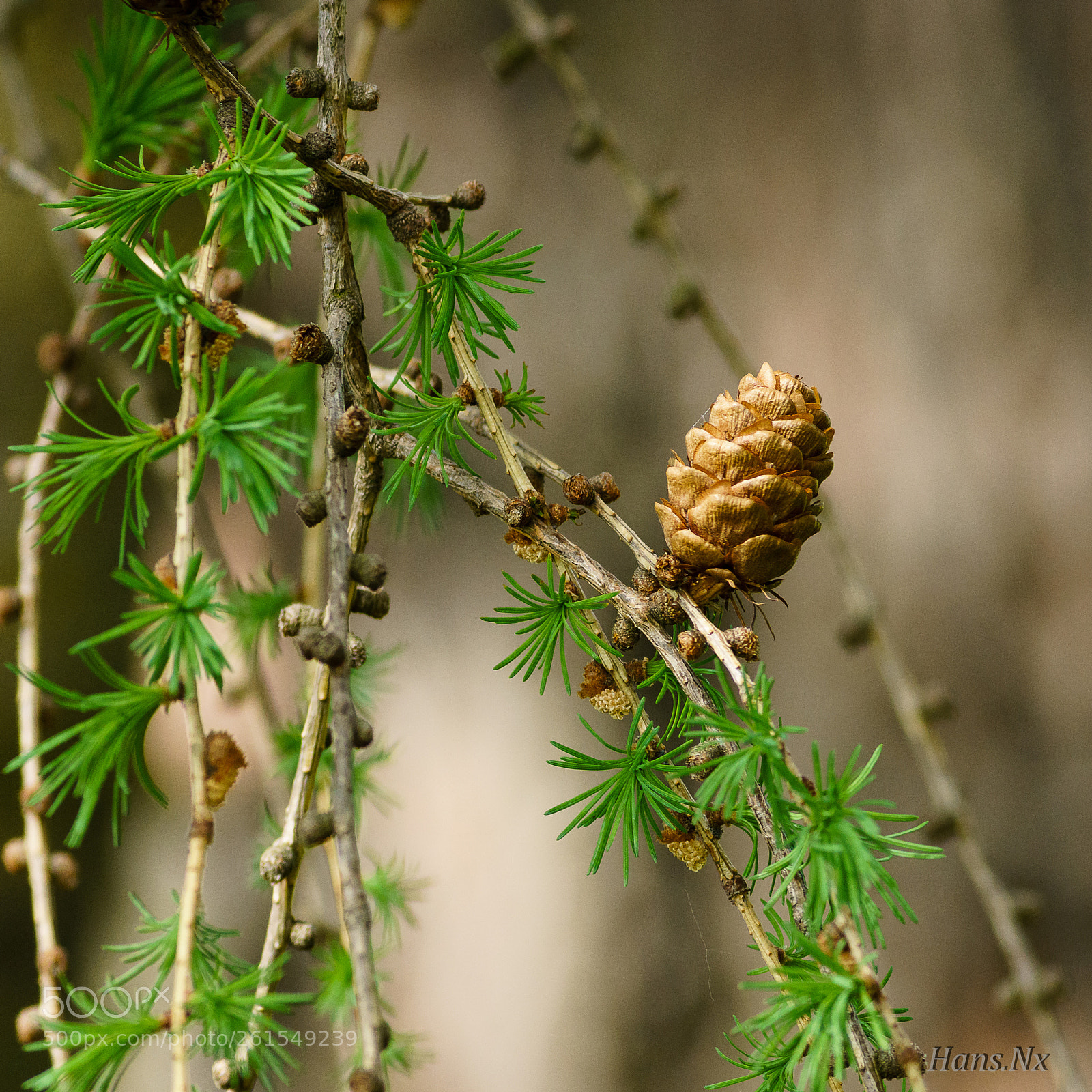 Sony a6000 sample photo. . photography