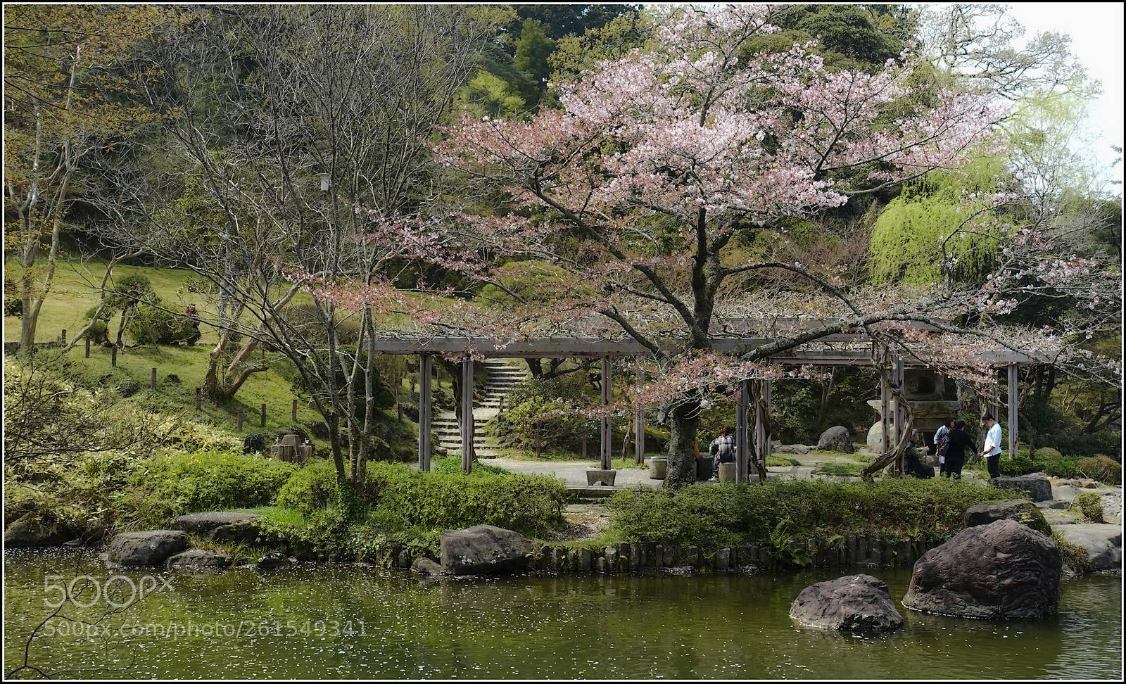 Sony Cyber-shot DSC-RX100 III sample photo. Narita park photography