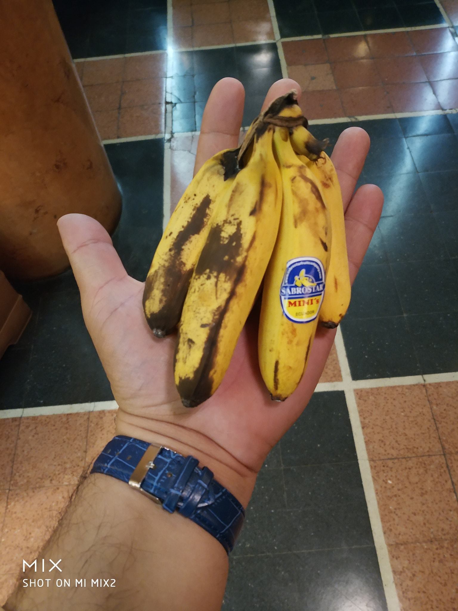 Xiaomi Mi MIX 2 sample photo. Bananas photography