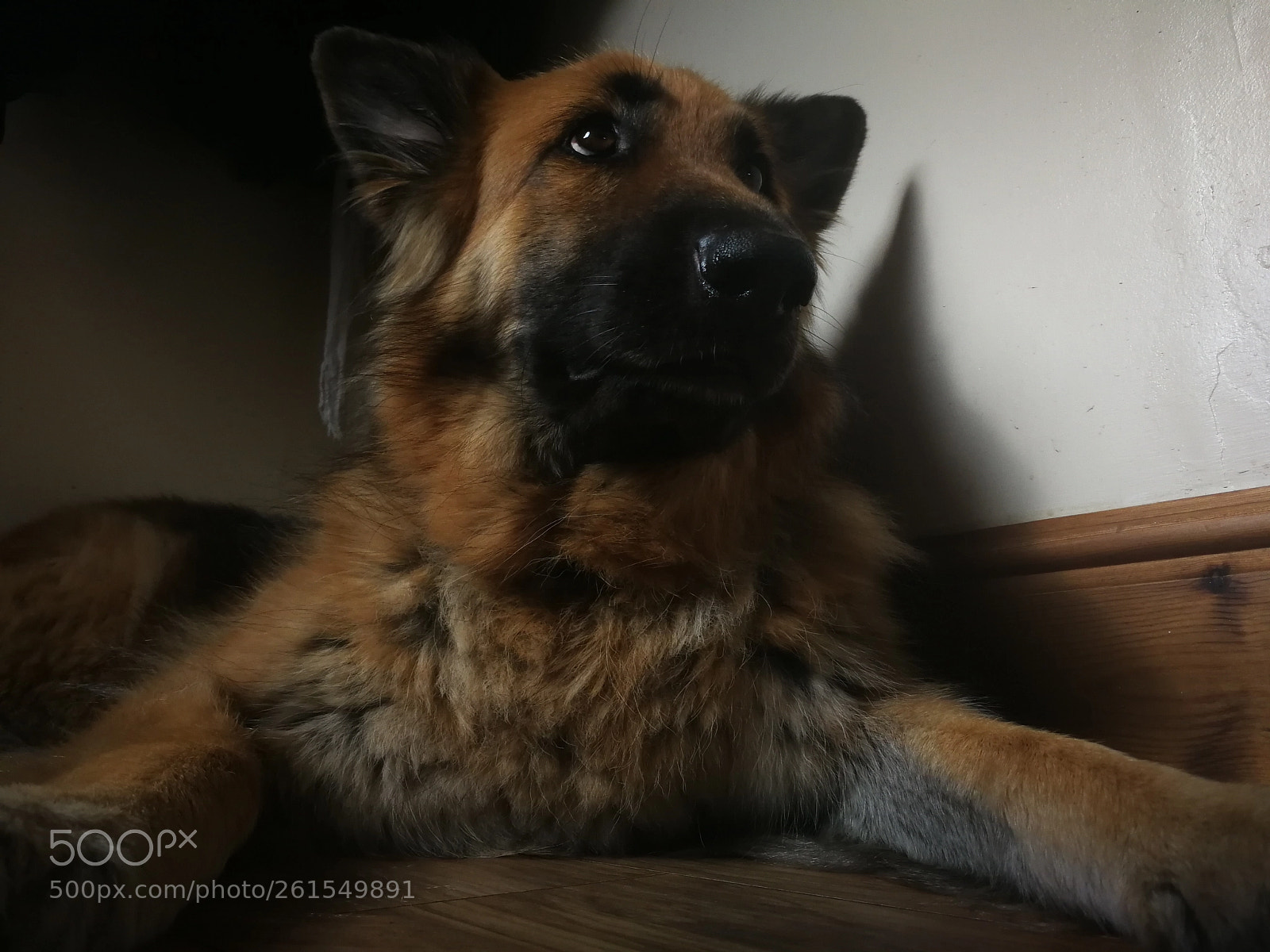 HUAWEI P10 sample photo. Untitled photography
