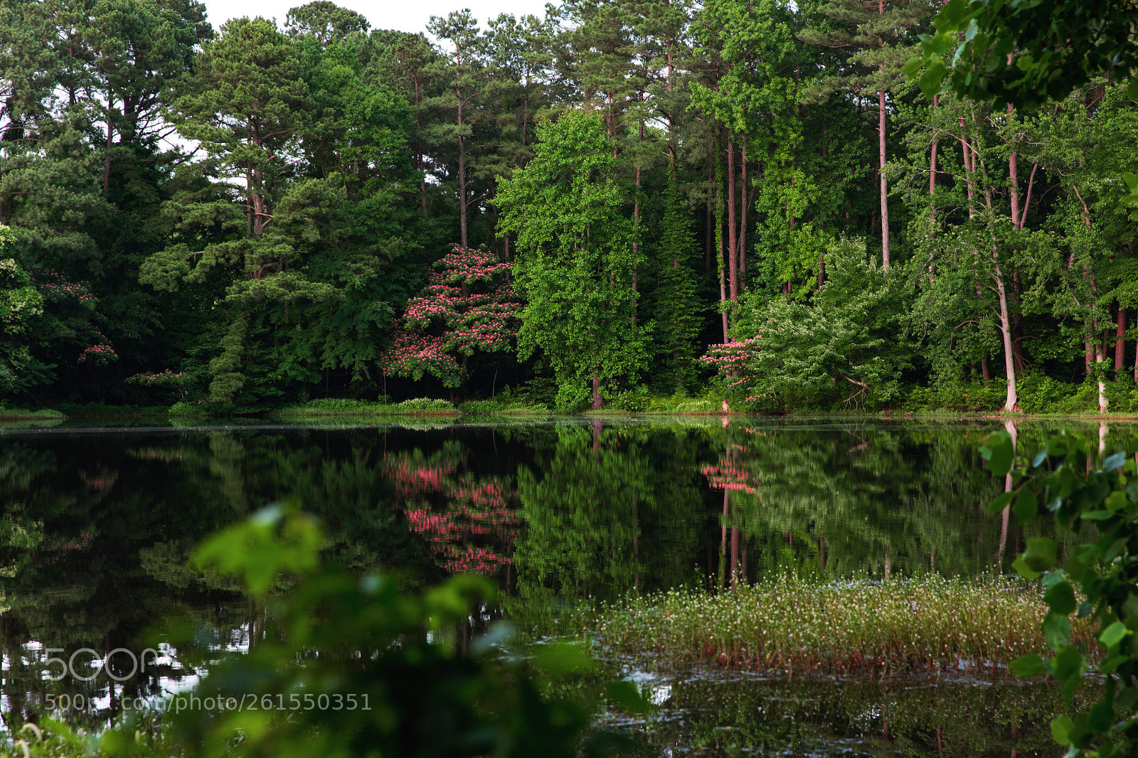 Canon EOS 5D Mark IV sample photo. Green lake  photography